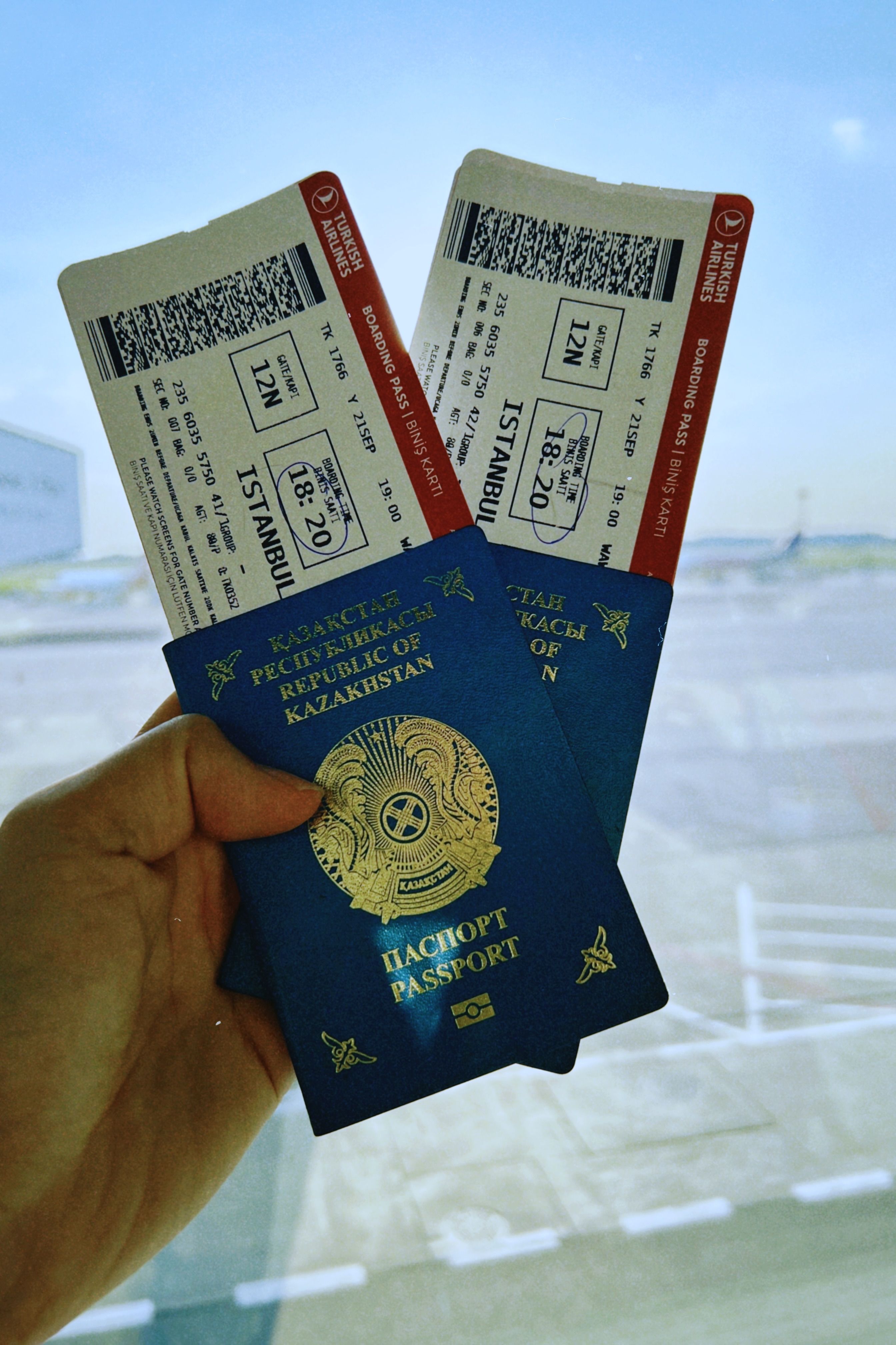 Flight Booking and Visa Handling